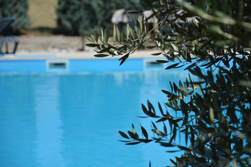 Apartments Agata Nova Vas  ภายนอก รูปภาพ